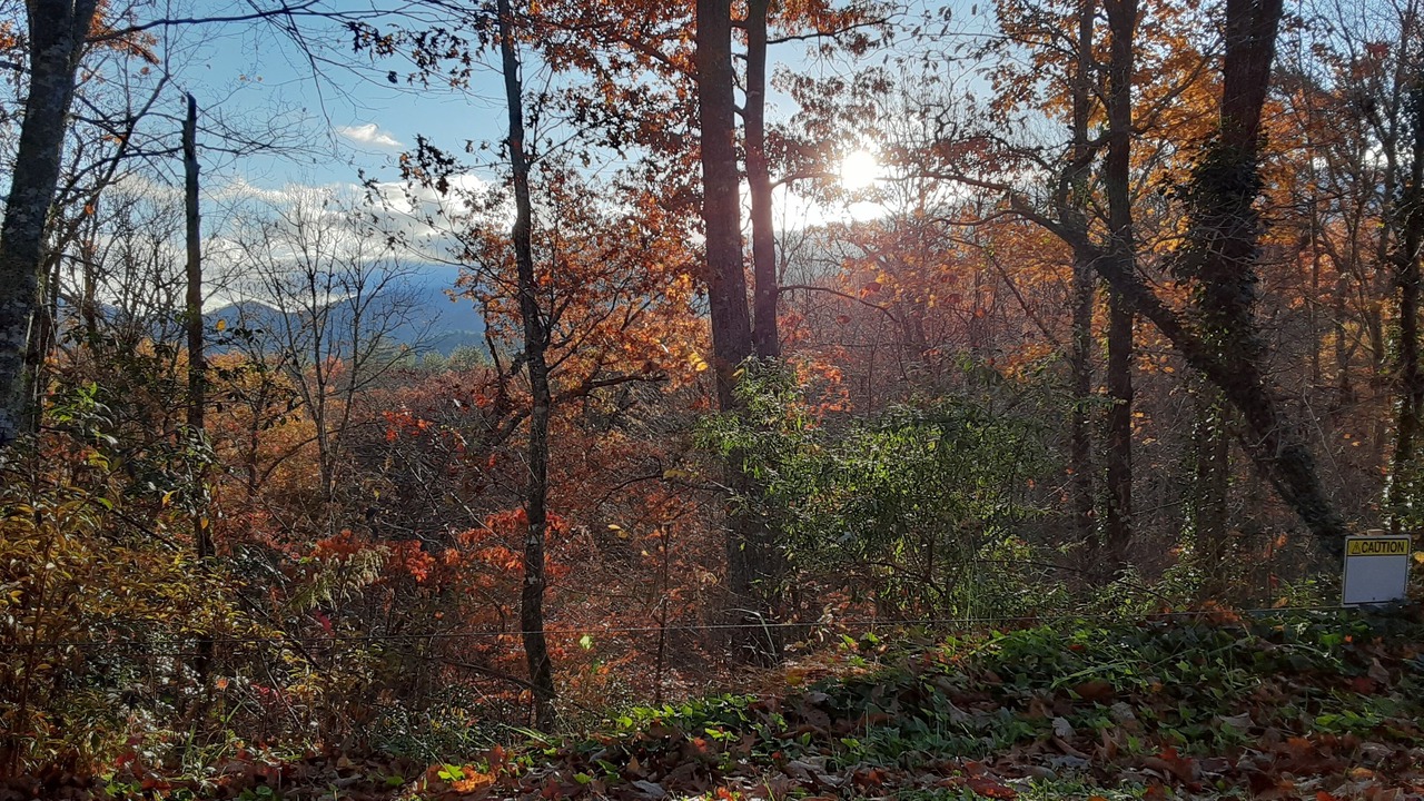 Photo of Outdoor in Andrews