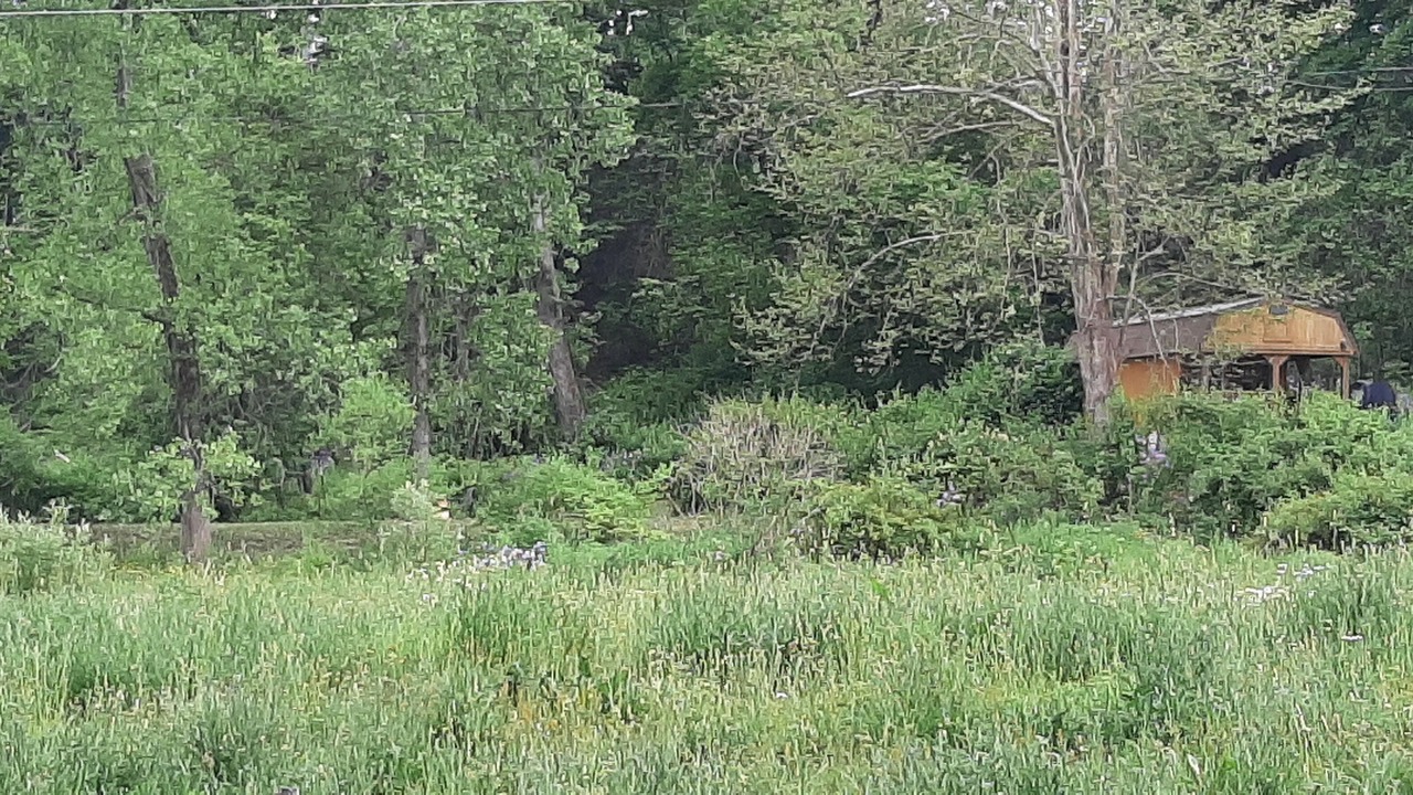 Photo of Others in Town of Burns