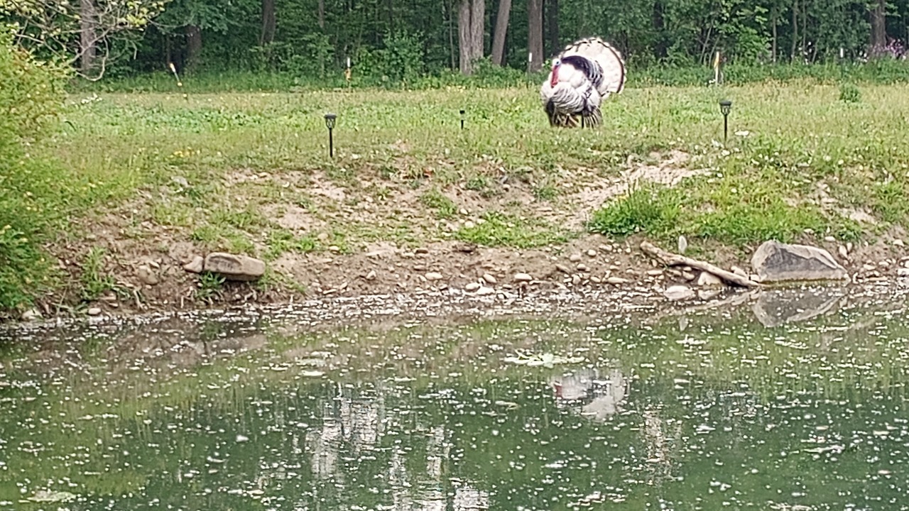 Photo of Outdoor in Town of Burns