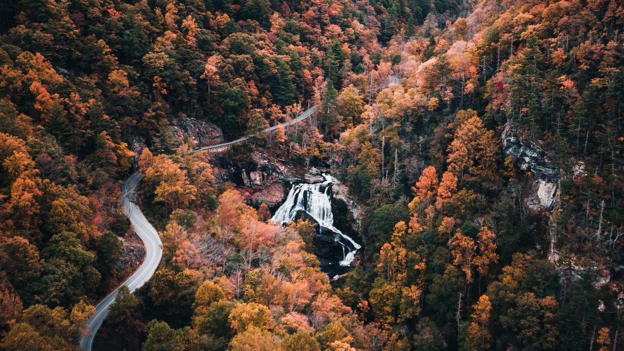 Photo of Outdoor in Woodfin