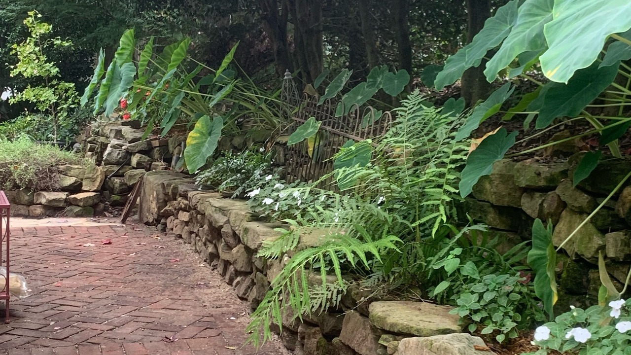 Photo of Outdoor in Tuscaloosa