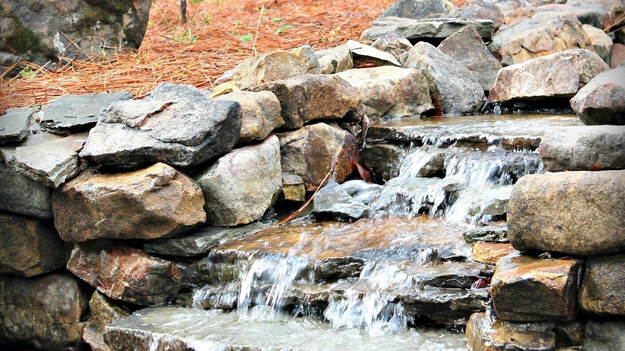 Photo of Outdoor in Tuscaloosa