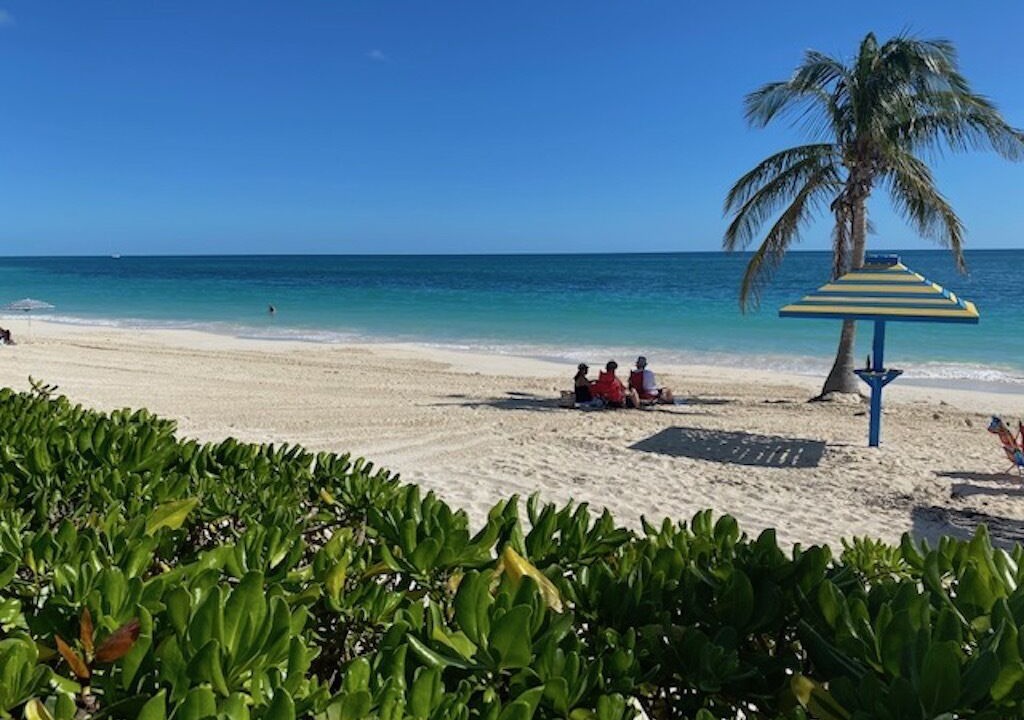 Photo of Others in Discovery Bay