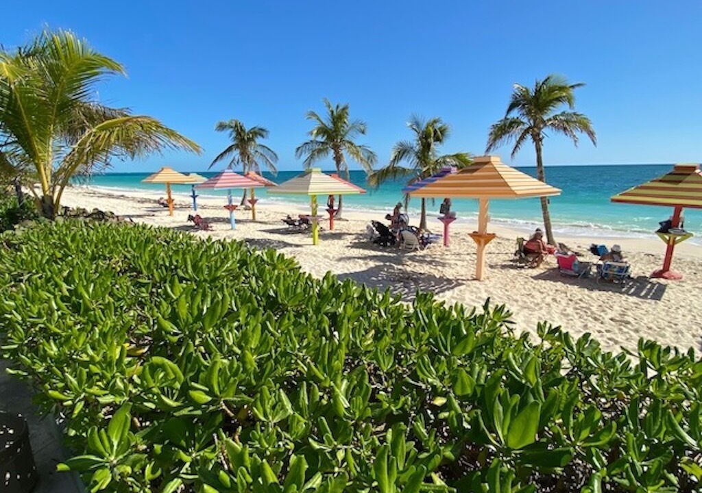 Photo of Others in Discovery Bay