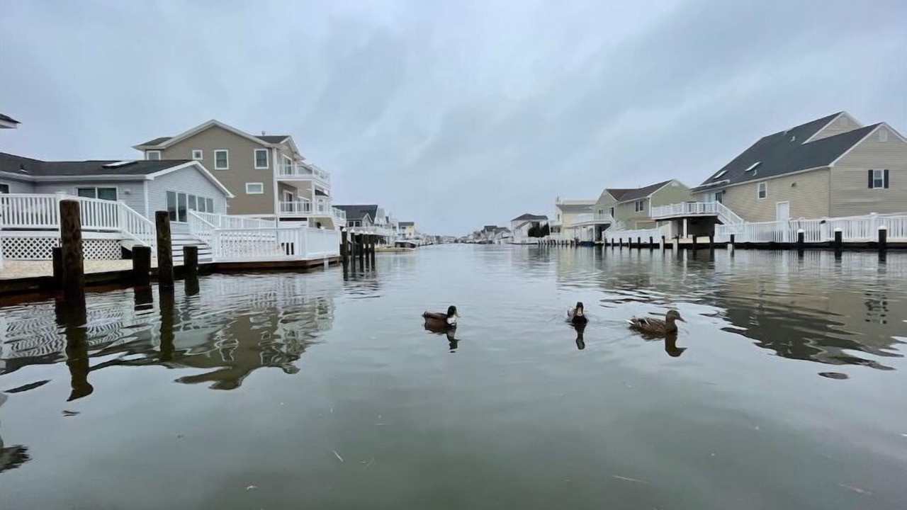 Photo of Outdoor in Beach Haven West