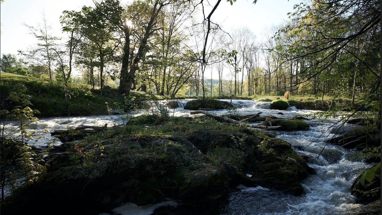 Photo of Outdoor in Pine Plains