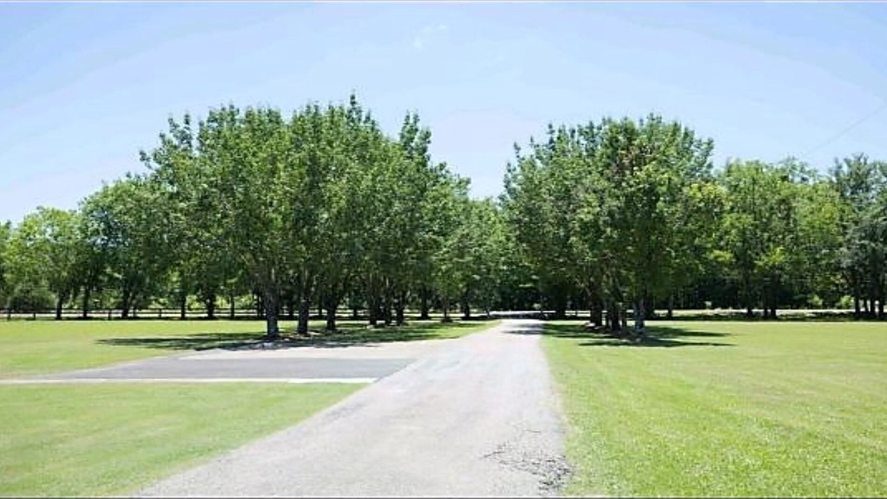 Photo of Others in Montgomery