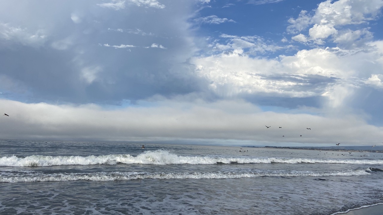 Photo of Others in Rio del Mar