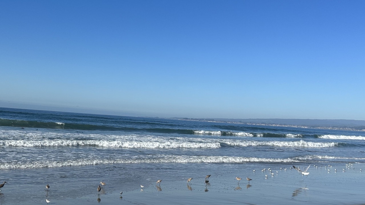 Photo of Others in Rio del Mar