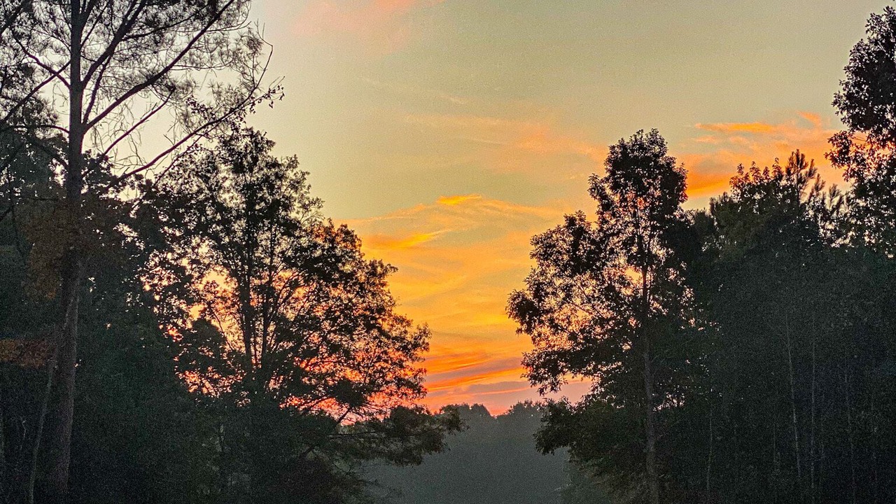 Photo of Outdoor in Etta