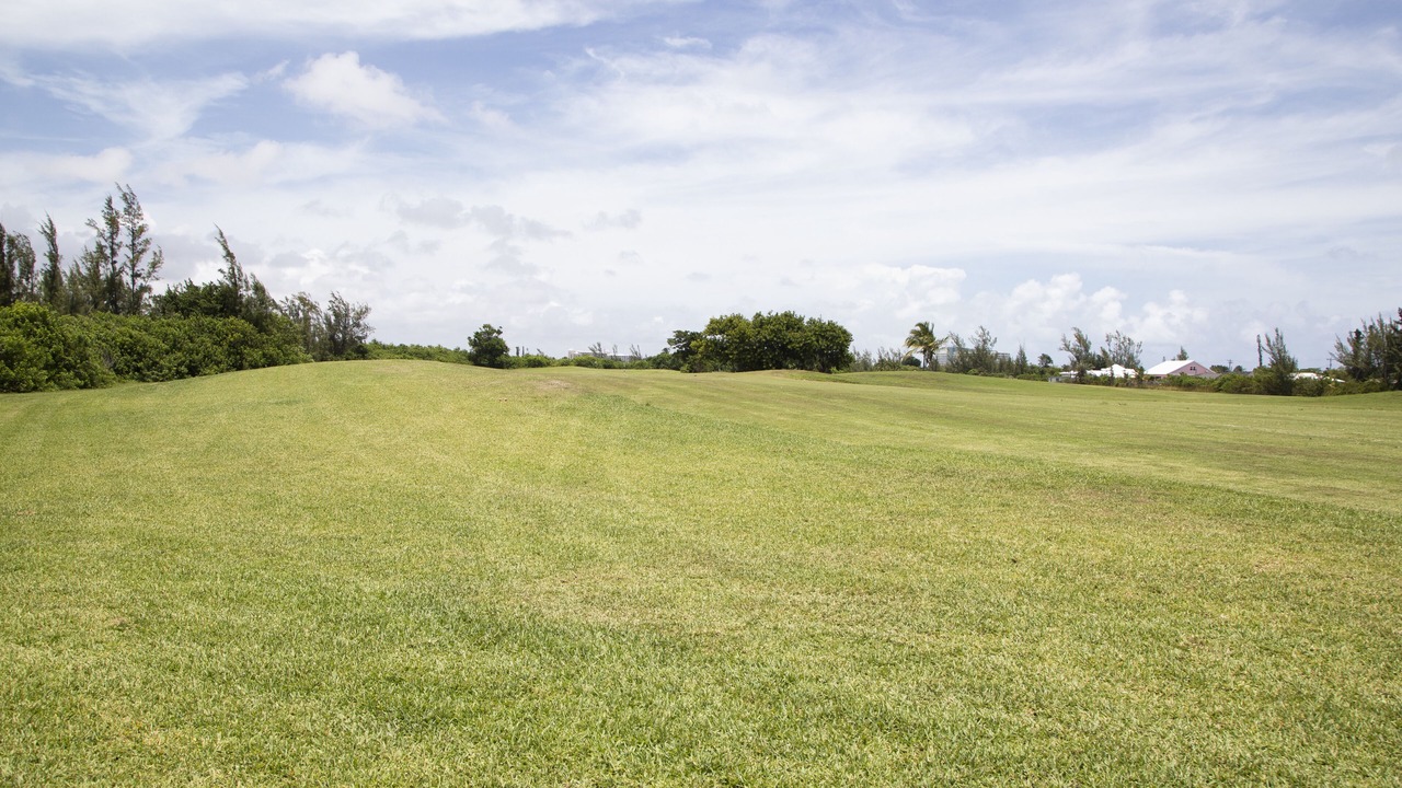 Photo of Others in Windsor Park