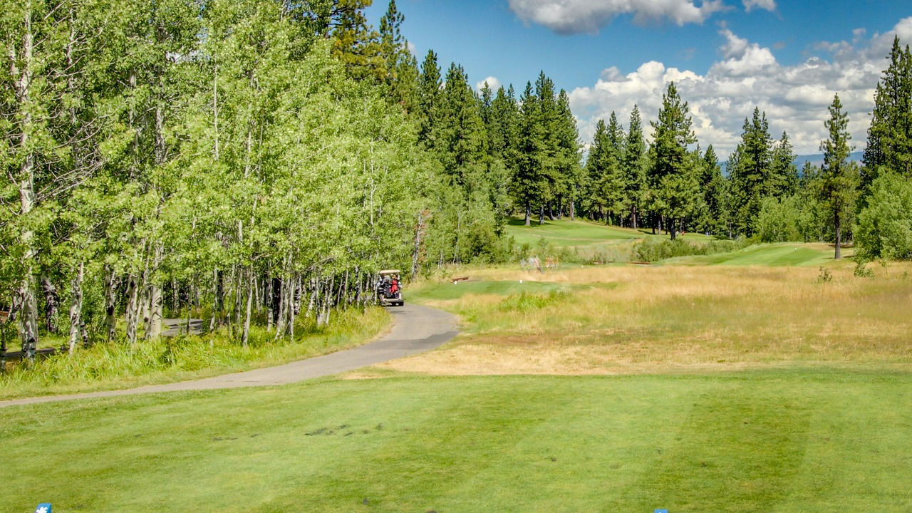 Photo of Others in Truckee