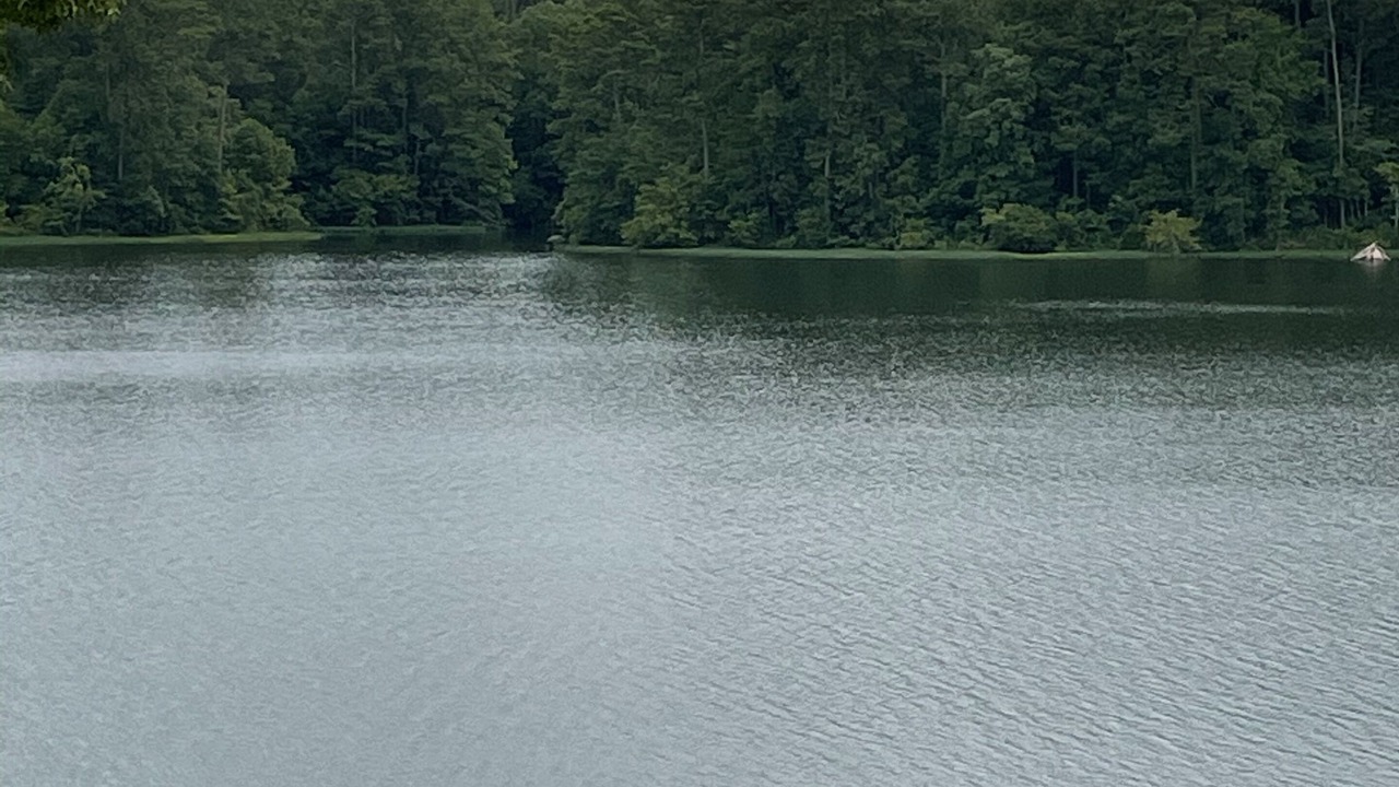 Photo of Outdoor in Deatsville