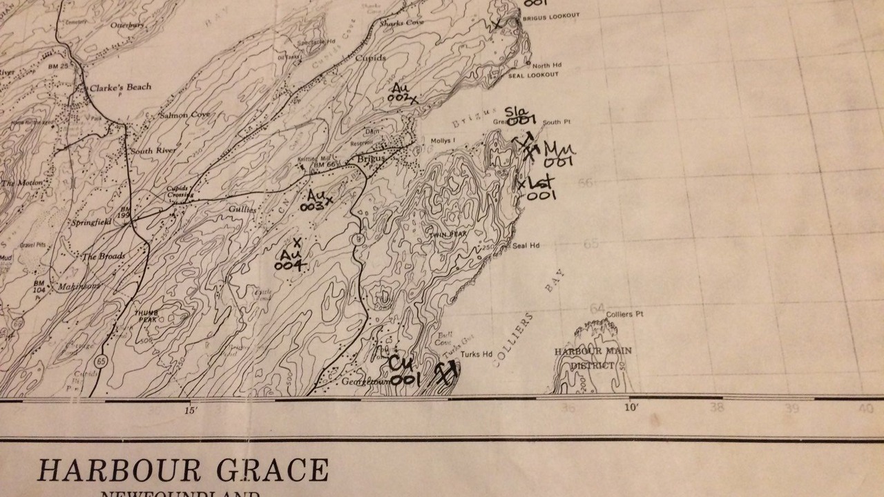 Photo of Others in Brigus