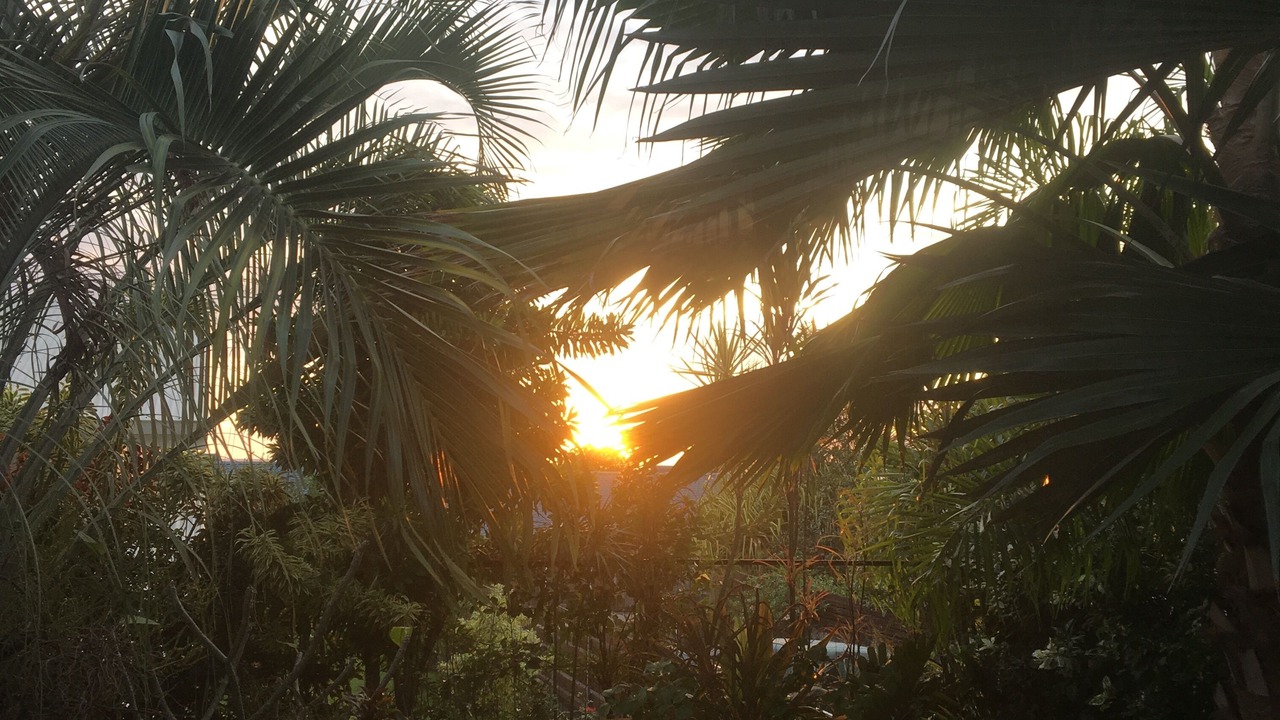 Photo of Outdoor in Paea