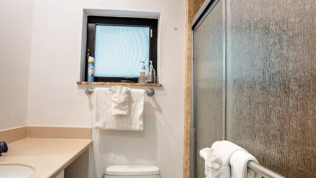 Photo of Bathroom in Hendricks and Venice Isles