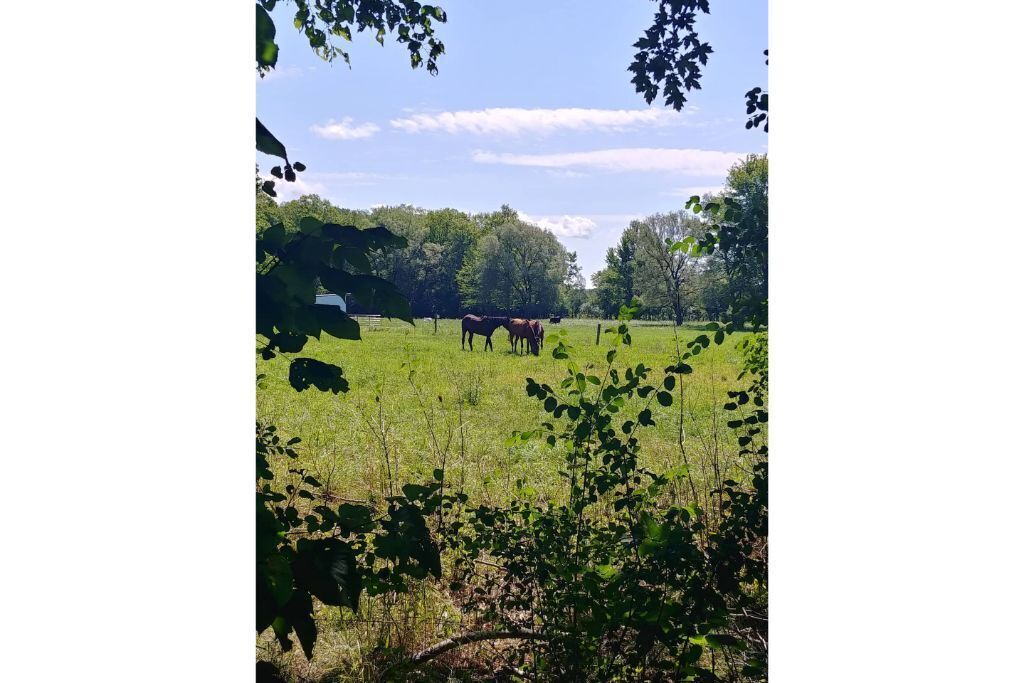 Photo of Outdoor in Rushville