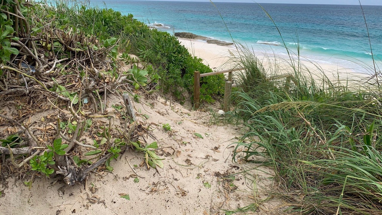 Photo of Others in Great Guana Cay