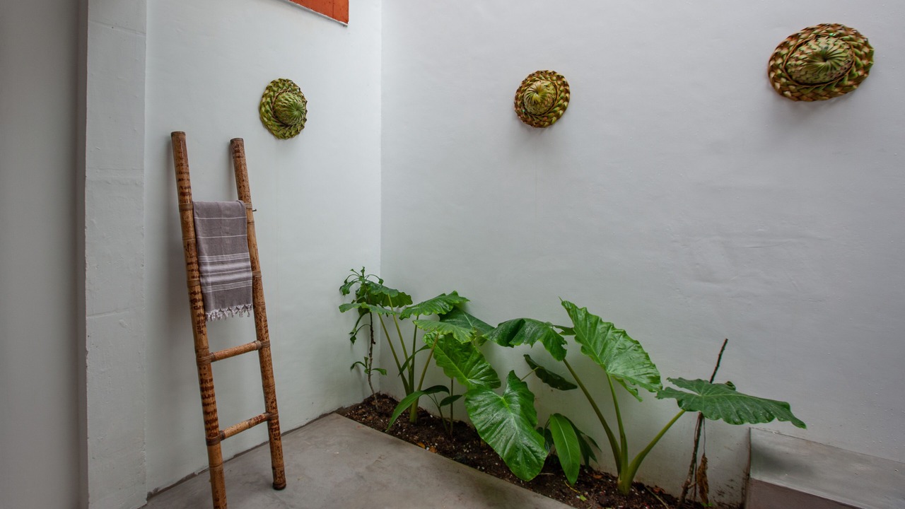 Photo of Outdoor in Praslin Island