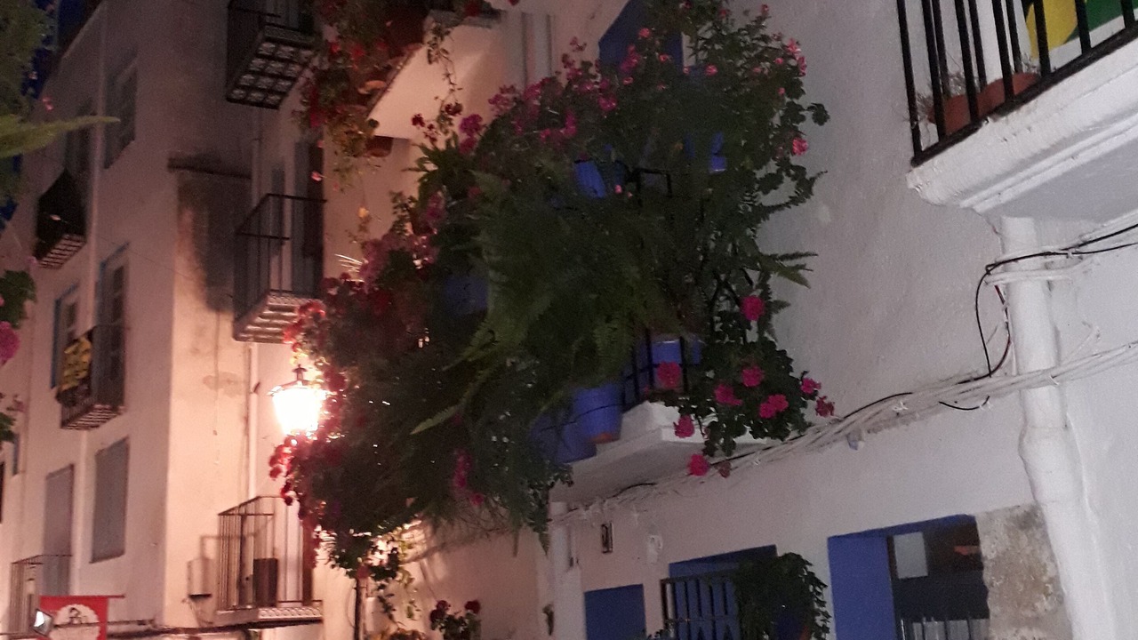 Photo of Outdoor in Peniscola