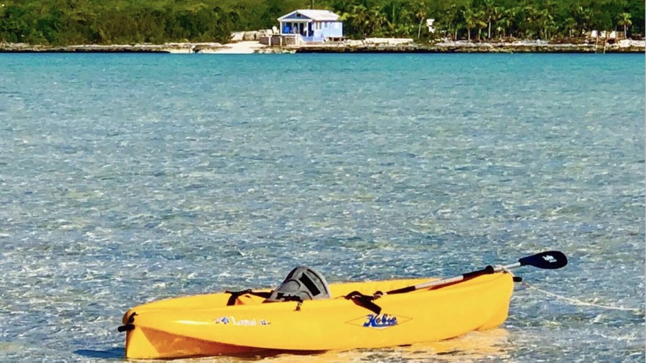 Photo of Others in George Town