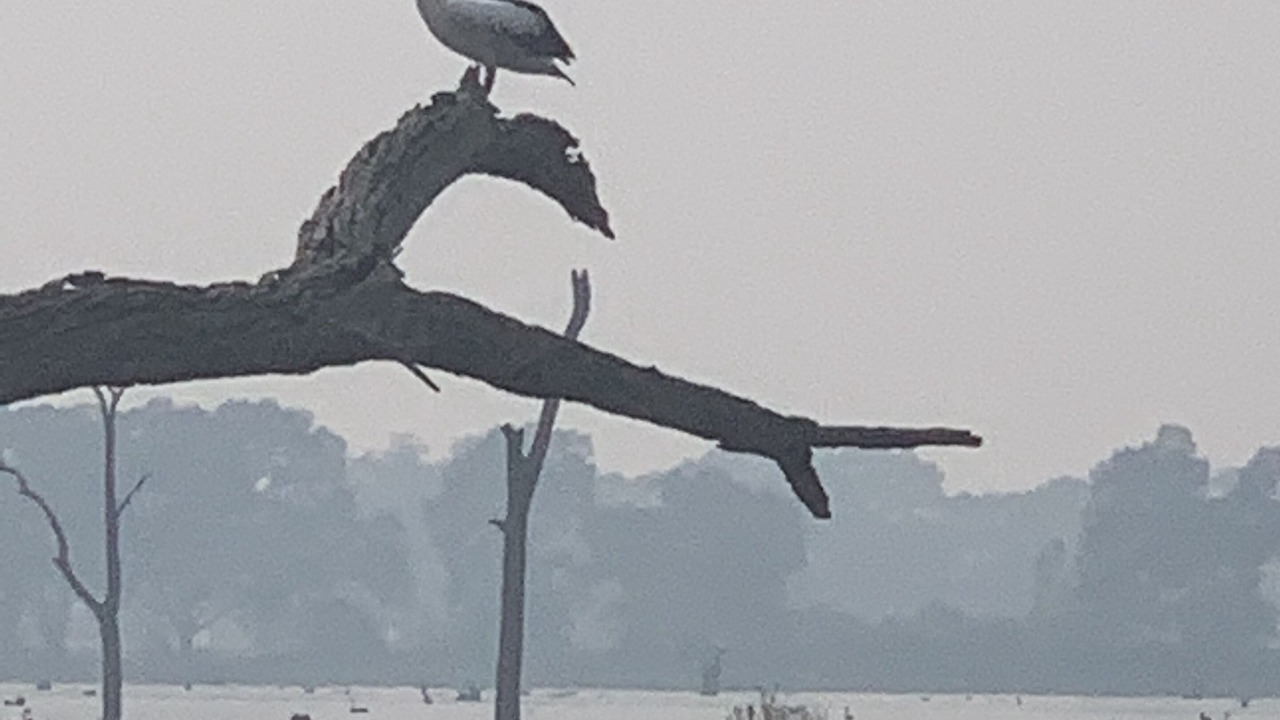 Photo of Others in Kirwans Bridge