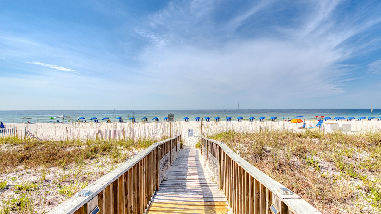 Photo of Others in Orange Beach East
