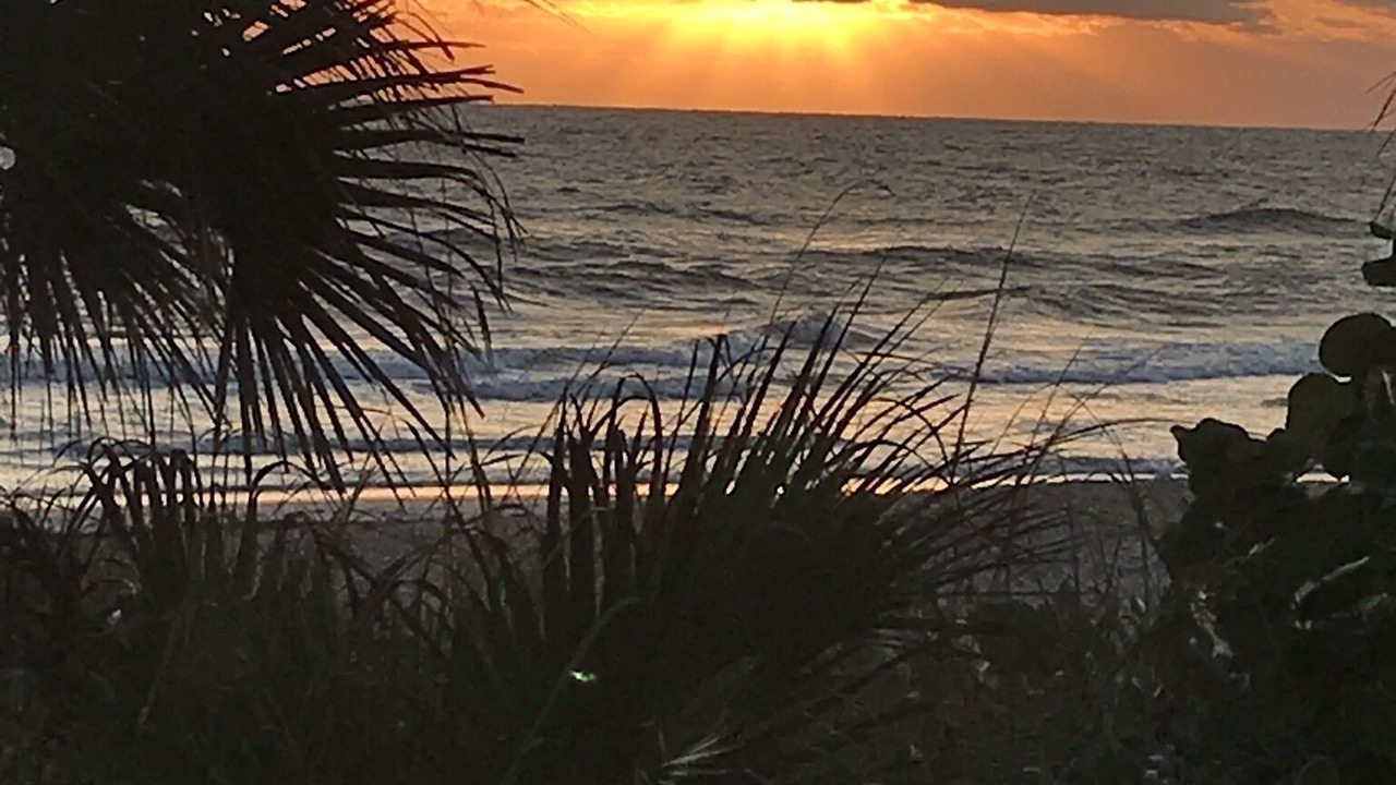 Photo of Others in Ormond-by-the-Sea