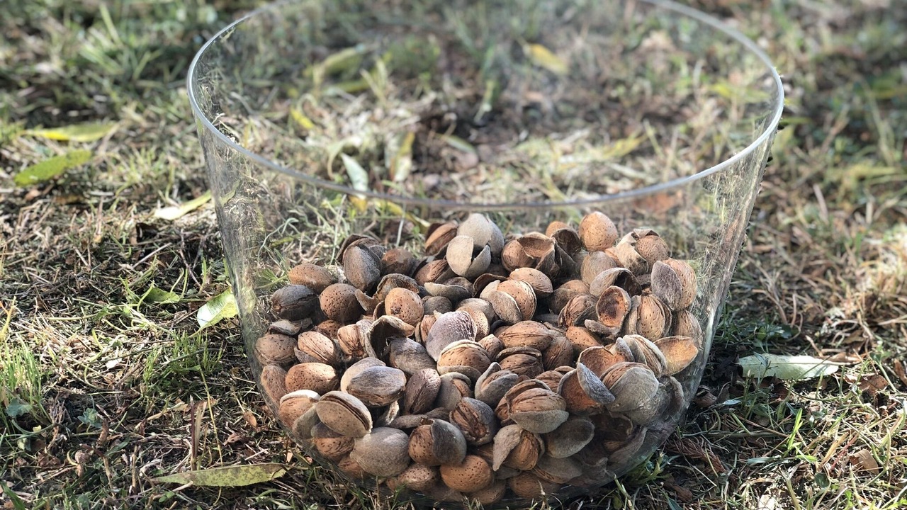 Photo of Outdoor in Sant Just Desvern