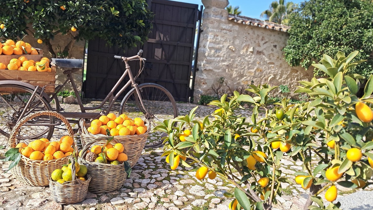 Photo of Outdoor in Pozoblanco