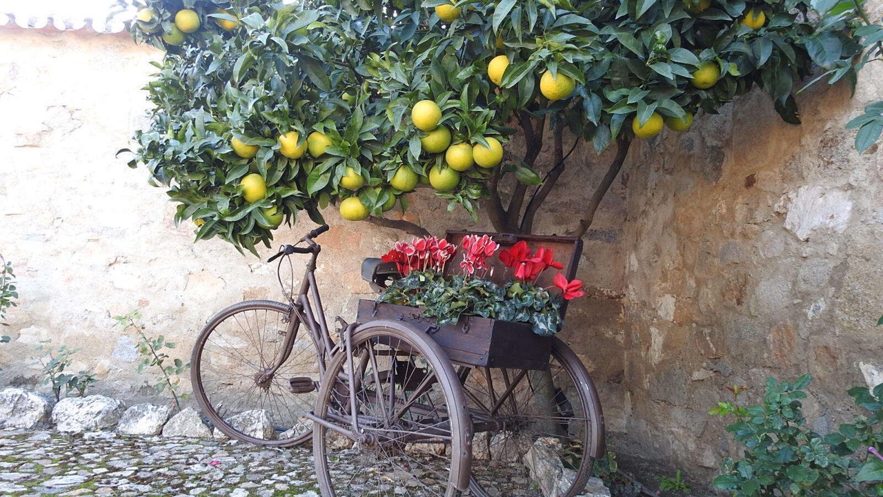 Photo of Outdoor in Pozoblanco