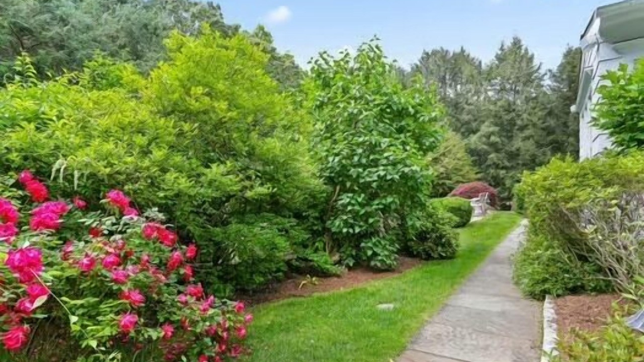 Photo of Outdoor in Westport