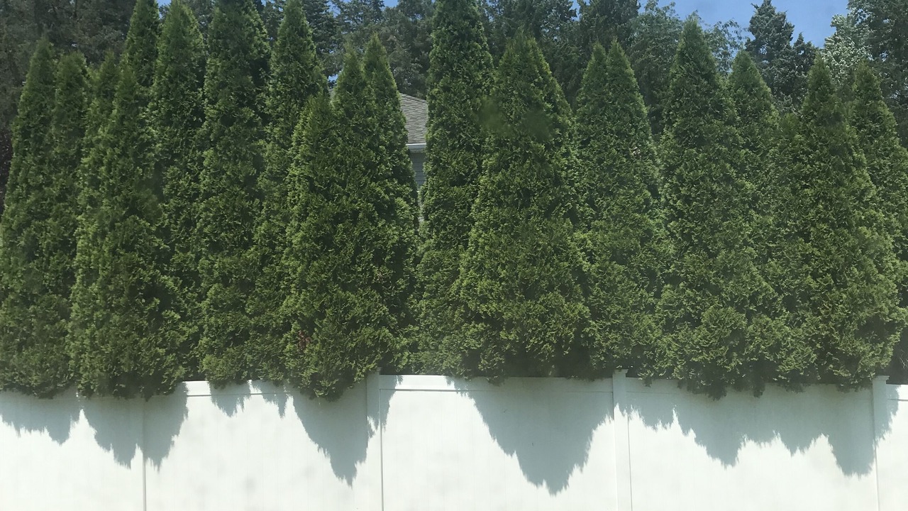 Photo of Others in Jackson