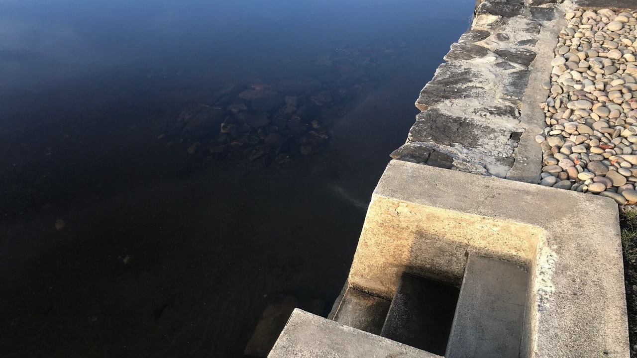 Photo of Others in Orange Lake