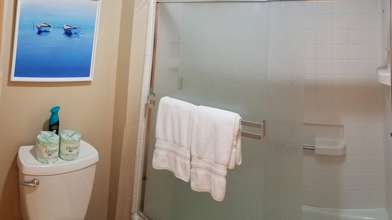 Photo of Bathroom in June Lake