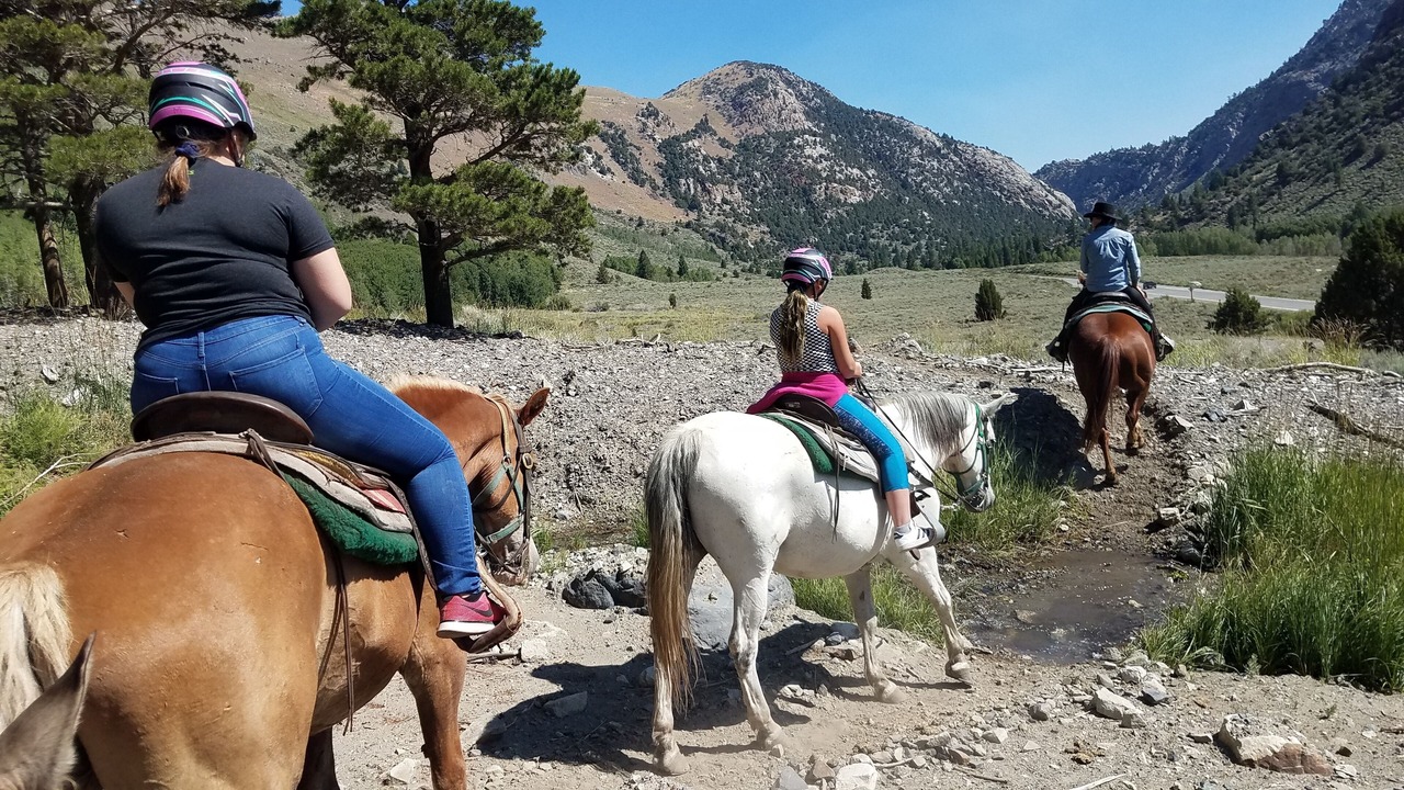 Photo of Others in June Lake