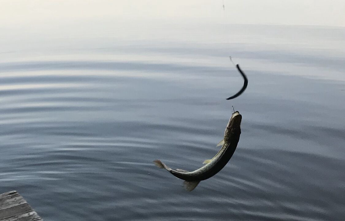 Photo of Others in Holmes