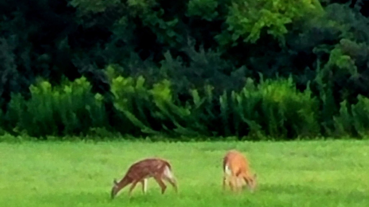 Photo of Others in Hammondsport