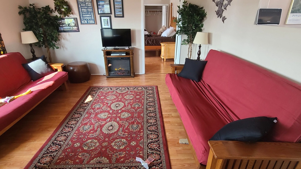 Photo of Livingroom in Hammondsport