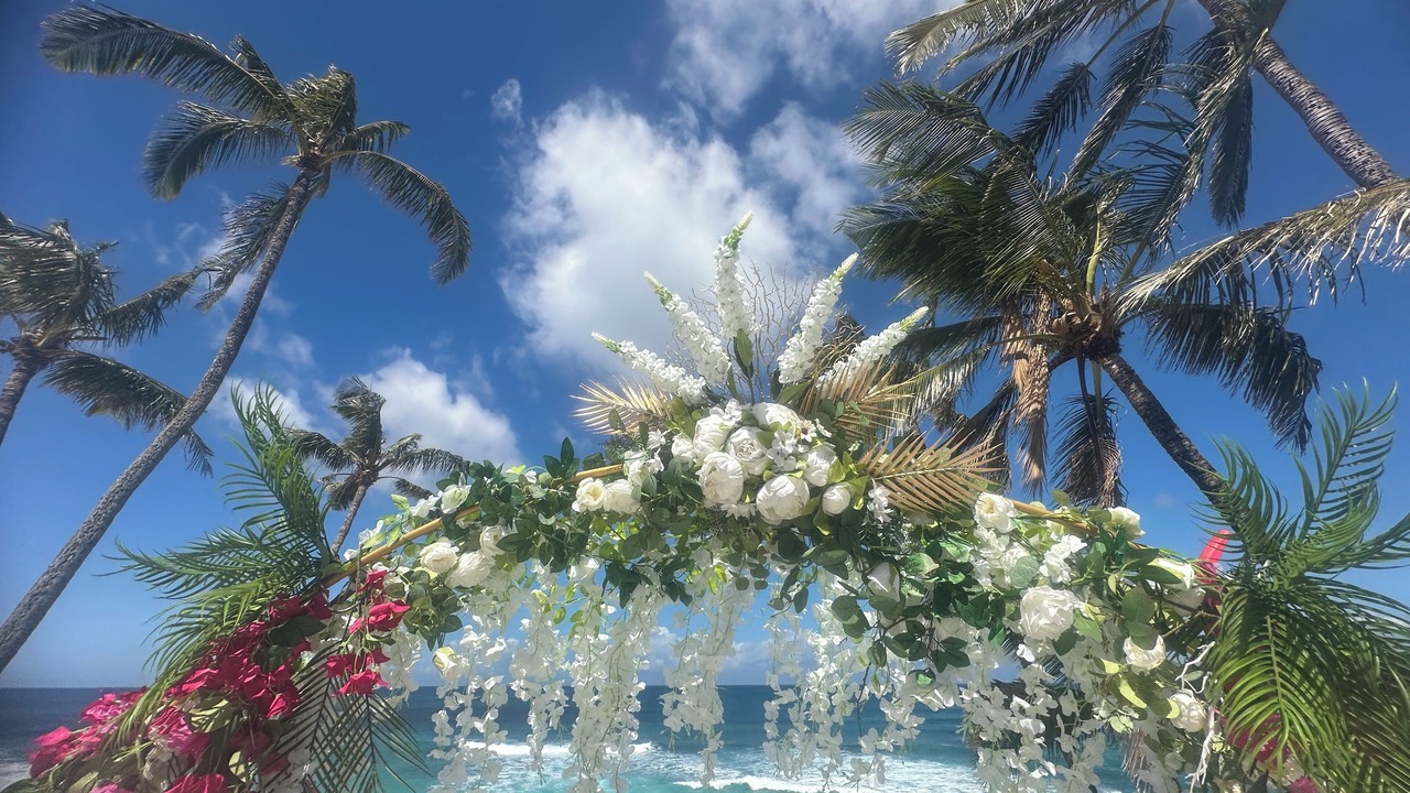 Photo of Others in Pupukea