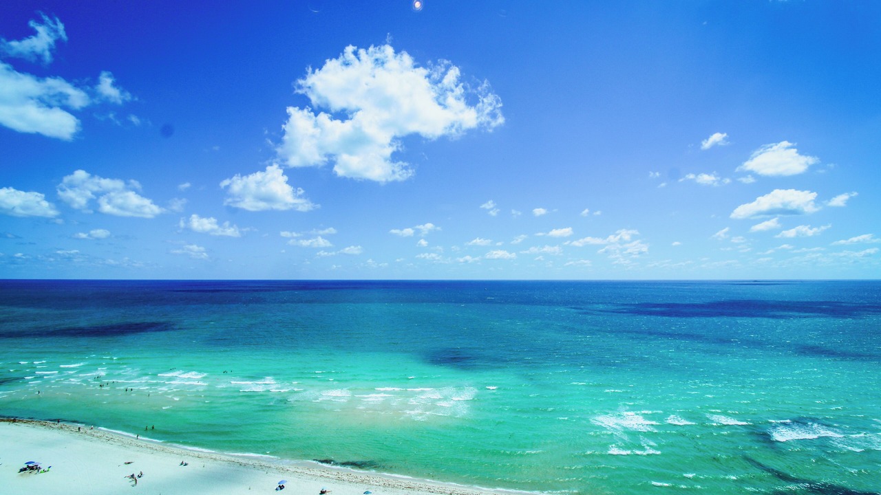 Photo of Others in Miami Beach