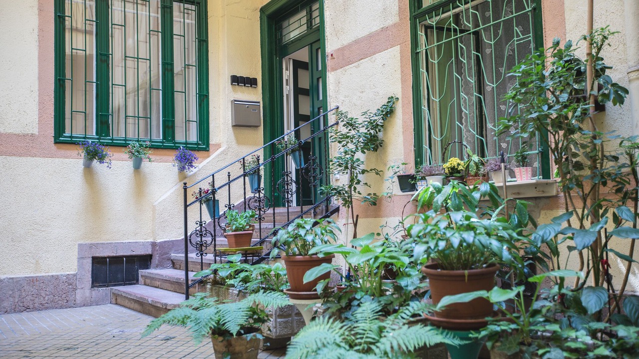 Photo of Outdoor in Palace District