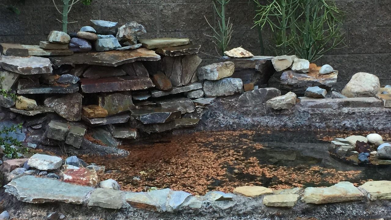 Photo of Outdoor in Aliso Viejo