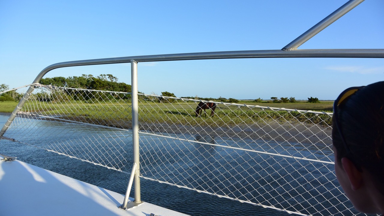 Photo of Others in Morehead City