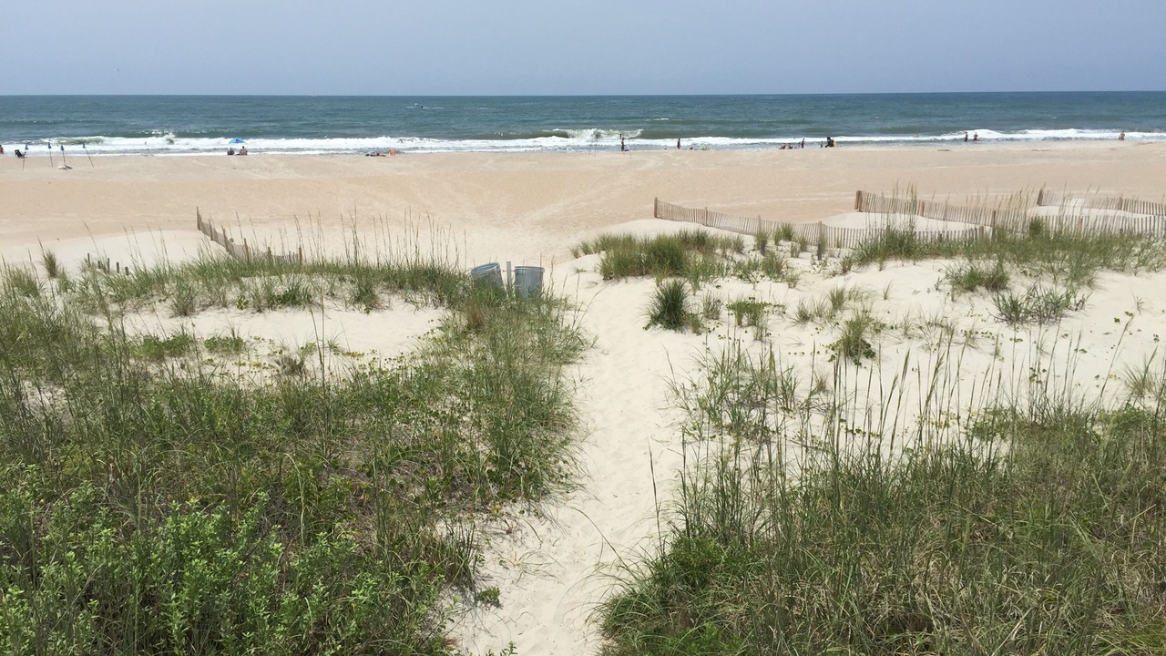 Photo of Others in Morehead City