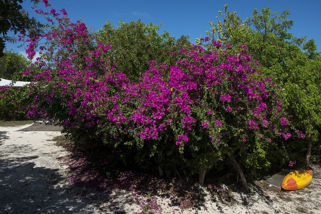 Photo of Outdoor in Savannah Sound