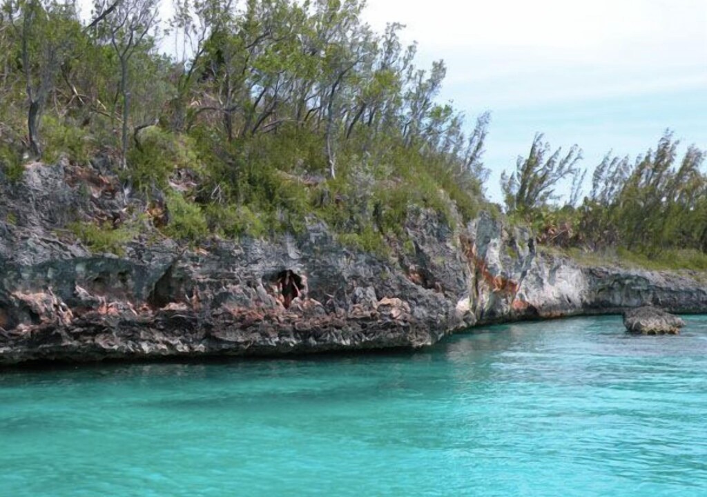 Photo of Outdoor in Savannah Sound