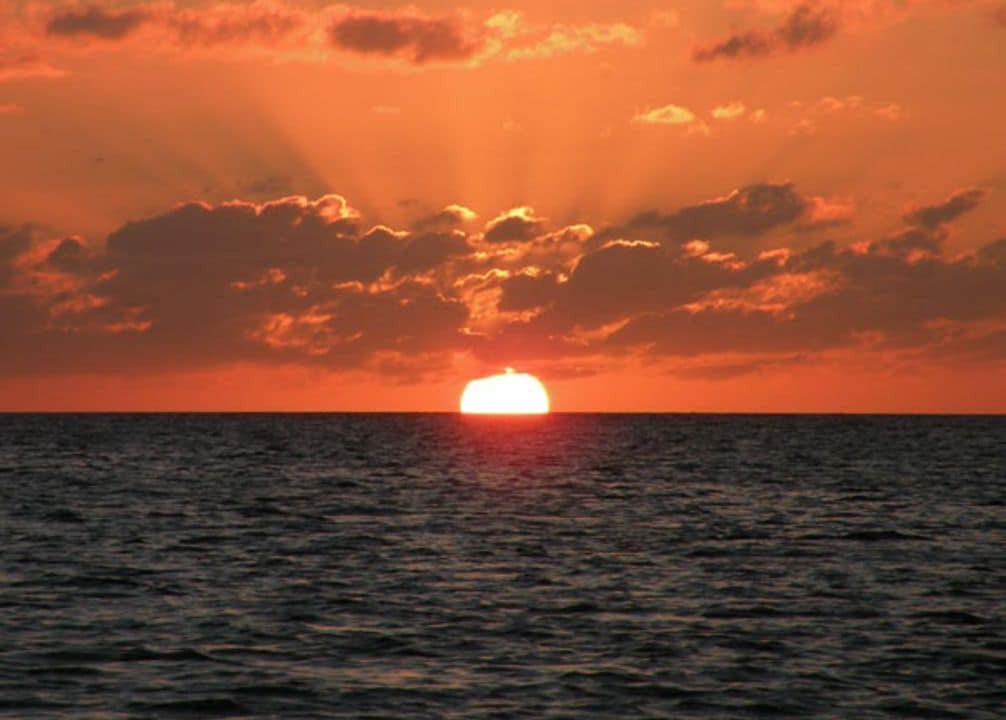 Photo of Outdoor in Savannah Sound