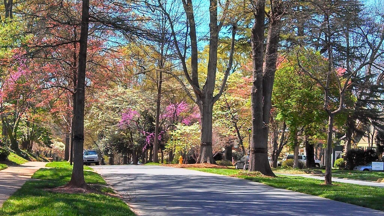 Photo of Others in Charlotte