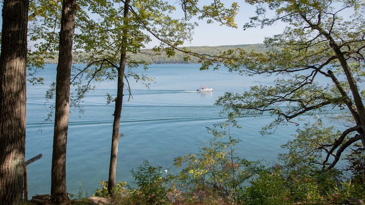 Photo of Others in Grange Landing